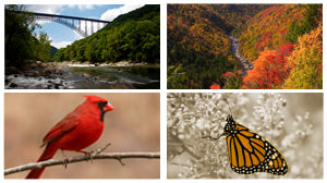 west-virginia