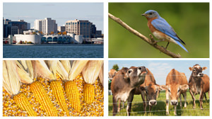 wisconsin