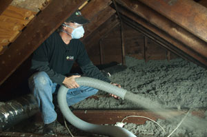 cellulose insulation